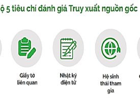 Công nghệ QR Code +Ứng dụng vCheck Viettel 2021