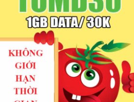 Gói cước TOMD30 Viettel
