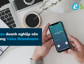 Voice Brandname
